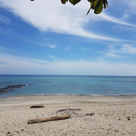 Pura Vida House Cabo Blanco Βίλα Νικόγια Εξωτερικό φωτογραφία